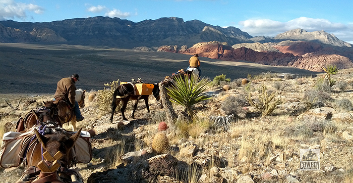 Cowboy Trail Rides - Hauling trail supplies in Red Rock Canyon